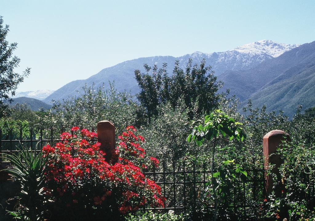 Domaine De La Roseraie Resort Ouirgane Exteriér fotografie